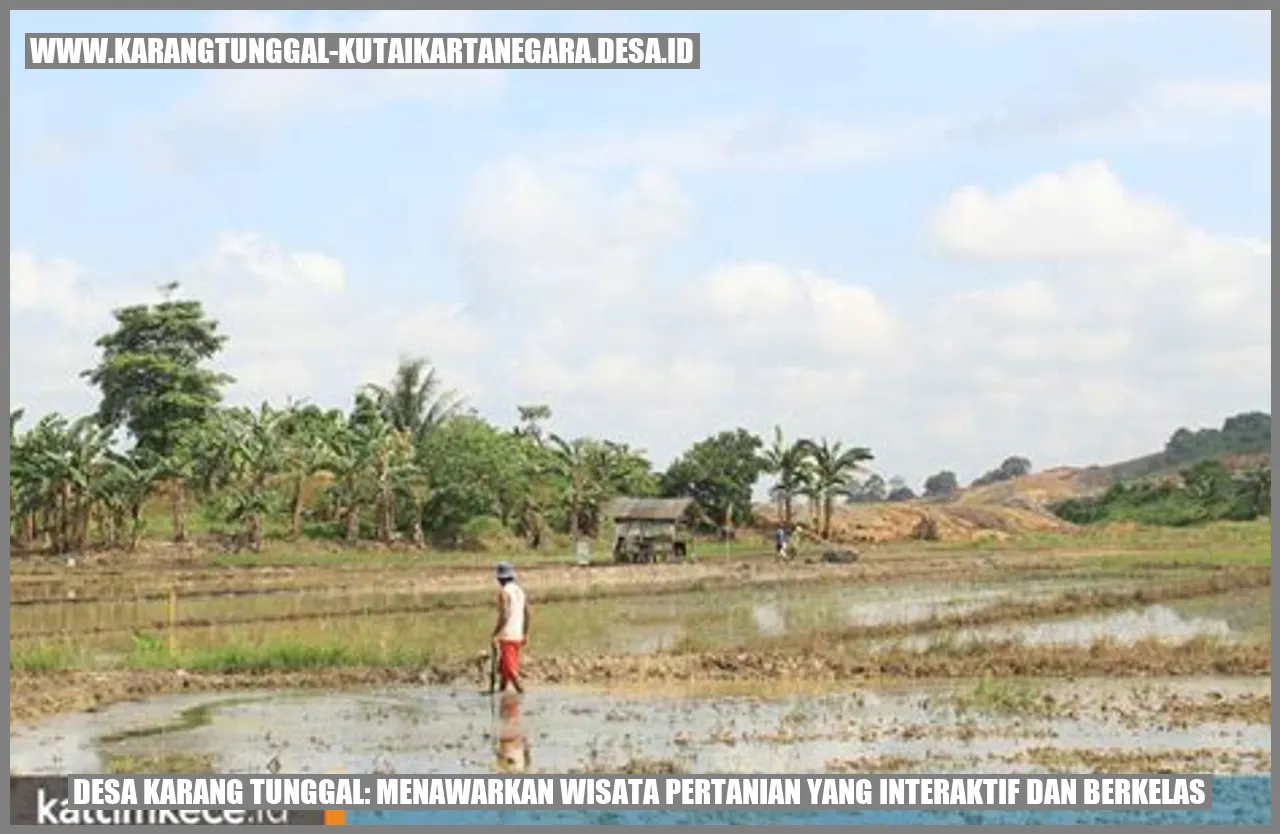 Desa Karang Tunggal: Menawarkan Wisata Pertanian yang Interaktif dan Berkelas