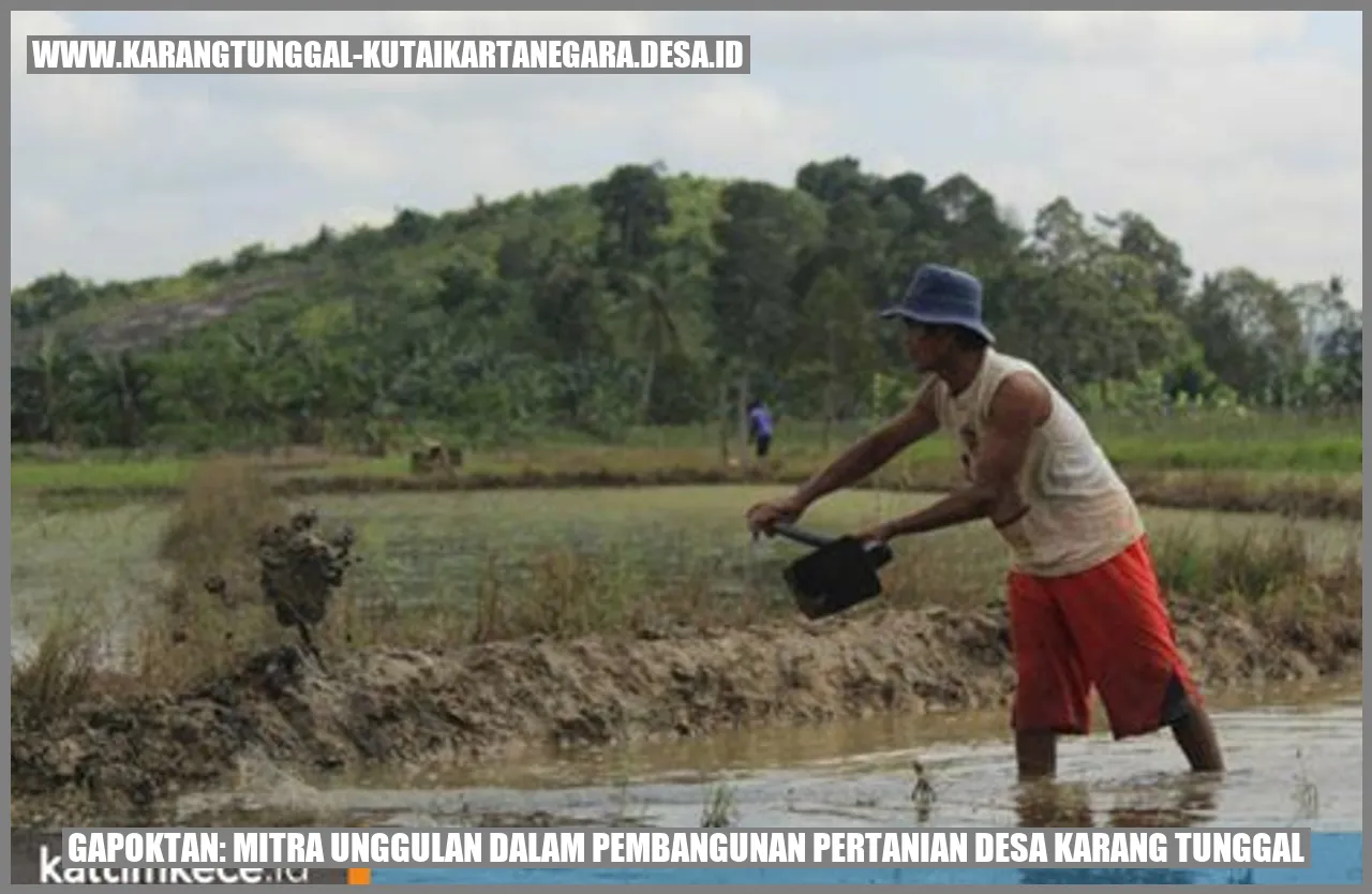 Gapoktan: Mitra Unggulan dalam Pembangunan Pertanian Desa Karang Tunggal