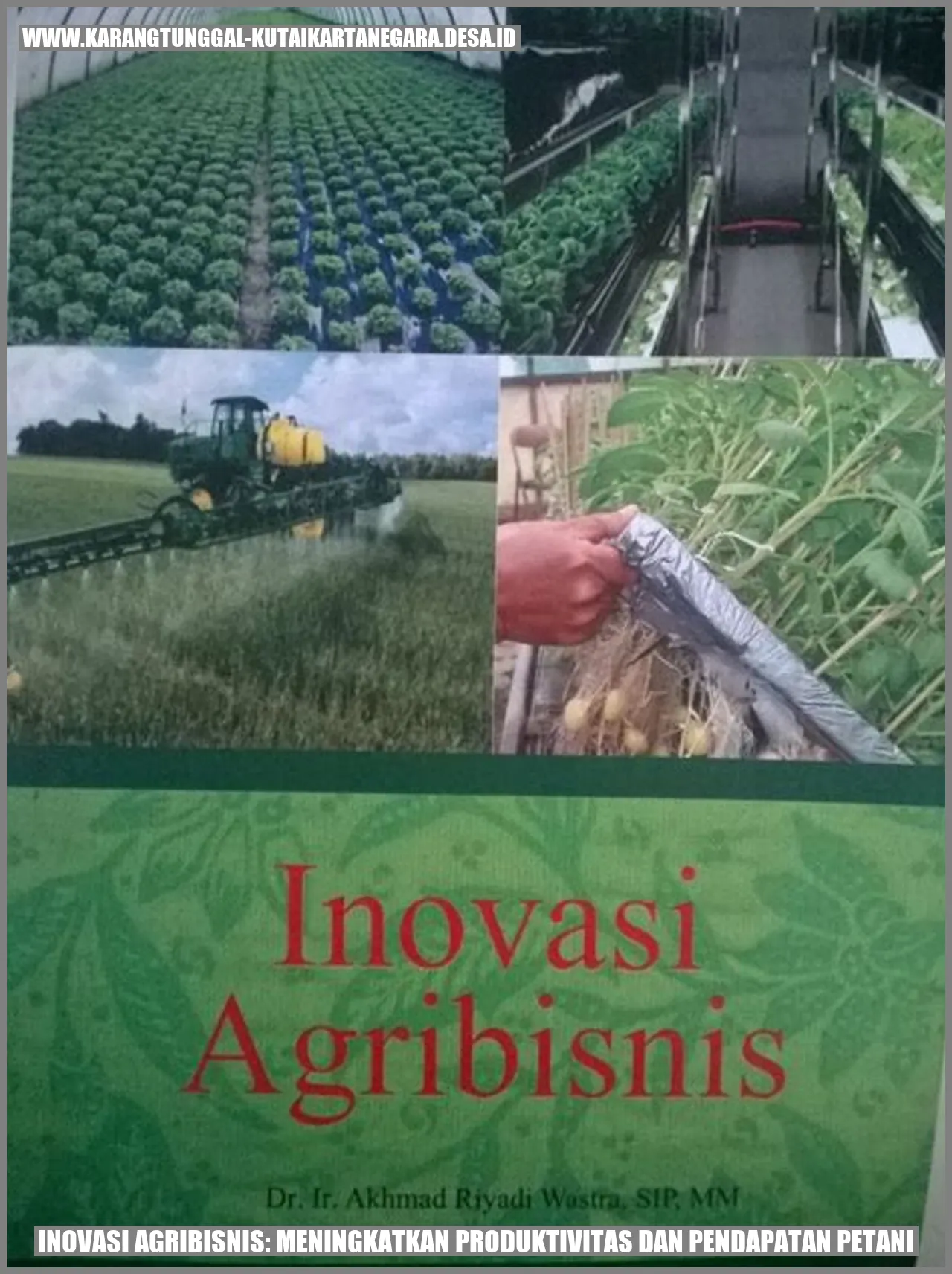 Inovasi Agribisnis: Meningkatkan Produktivitas dan Pendapatan Petani