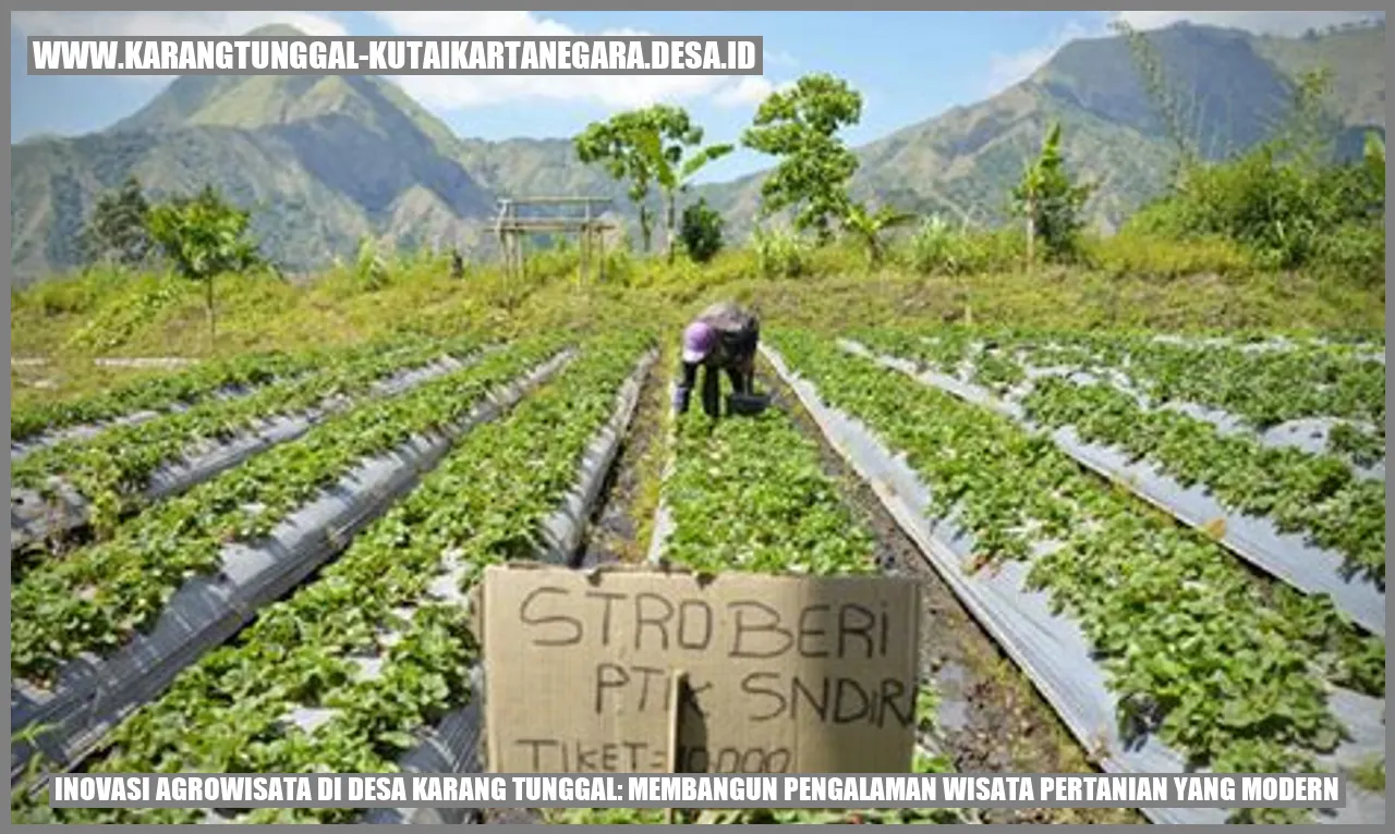 Inovasi Agrowisata di Desa Karang Tunggal