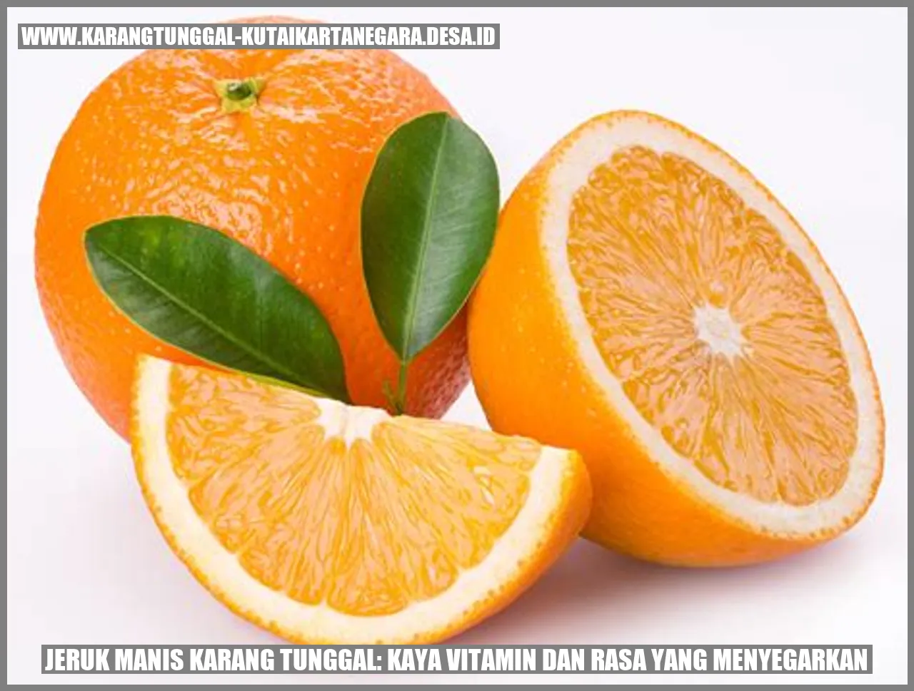 Jeruk Manis Karang Tunggal: Kaya Vitamin dan Rasa yang Menyegarkan