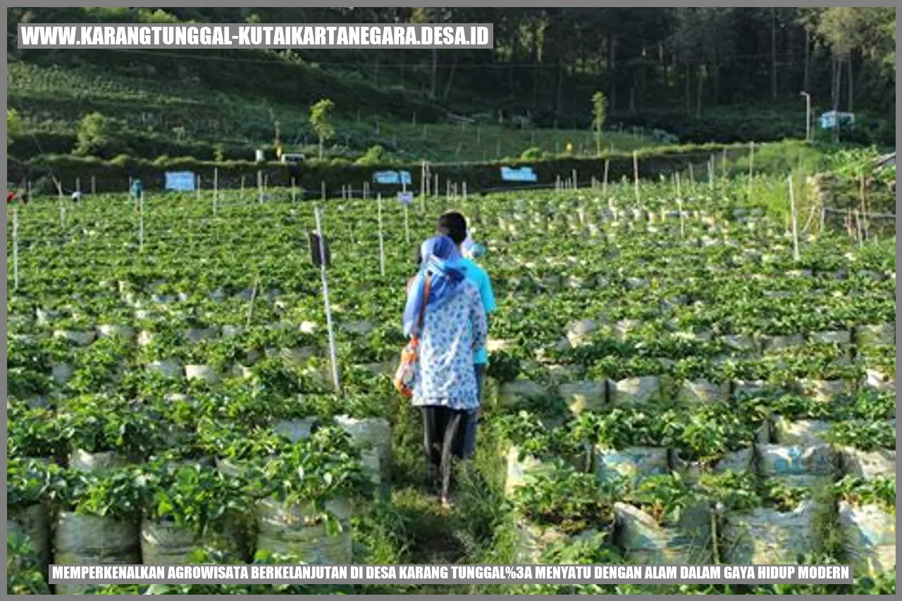 Perpaduan Agrowisata & Gaya Hidup Modern: Desa Karang Tunggal!