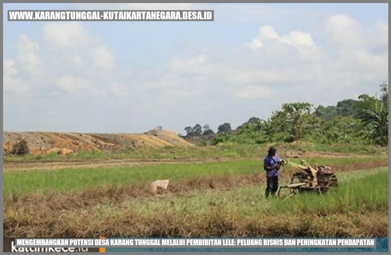 Mengembangkan Potensi Desa Karang Tunggal melalui Pembibitan Lele: Peluang Bisnis dan Peningkatan Pendapatan