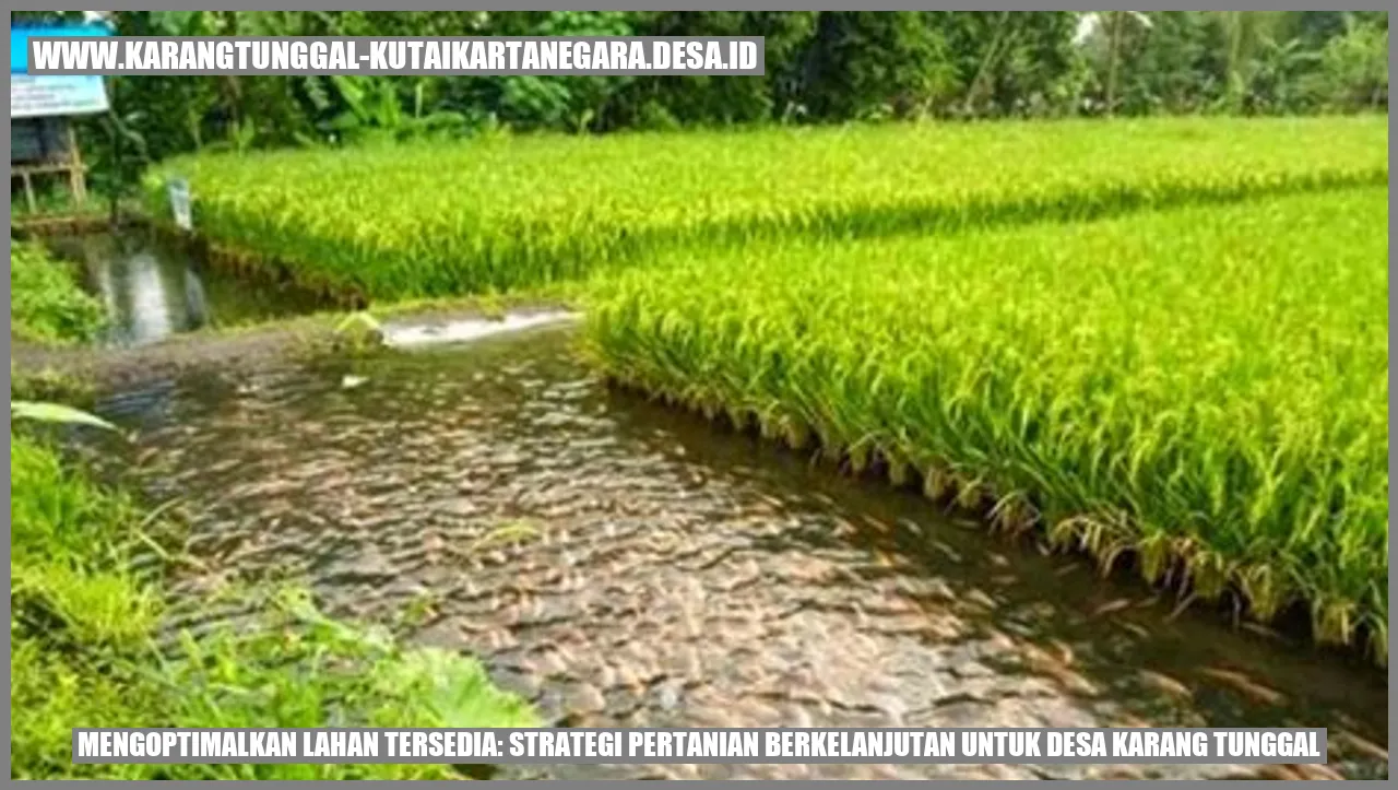 Mengoptimalkan Lahan Tersedia: Strategi Pertanian Berkelanjutan untuk Desa Karang Tunggal