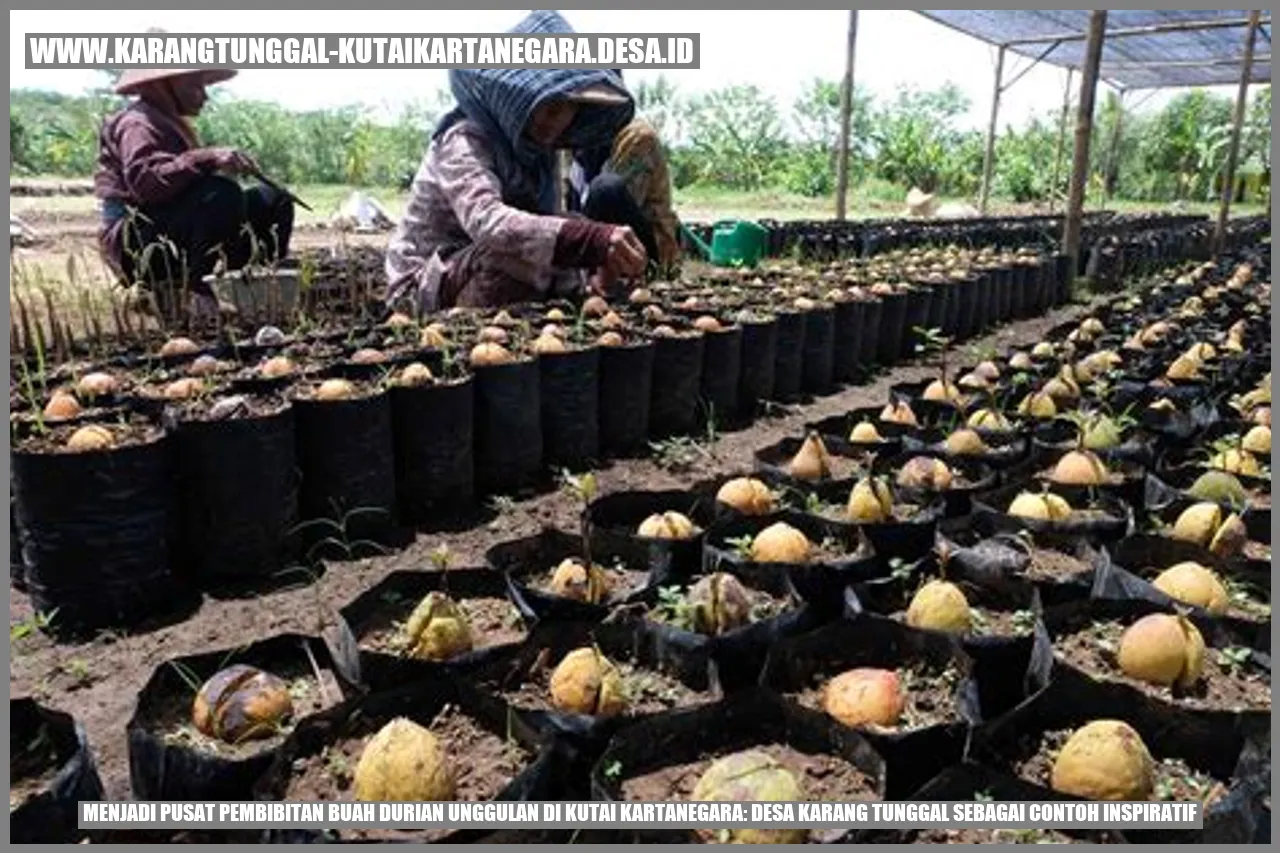 Menjadi Pusat Pembibitan Buah Durian Unggulan di Kutai Kartanegara: Desa Karang Tunggal sebagai Contoh Inspiratif
