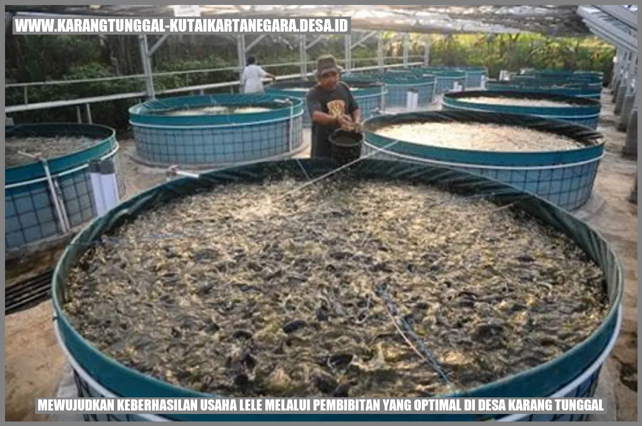 Pembenihan Lele di Desa Karang Tunggal