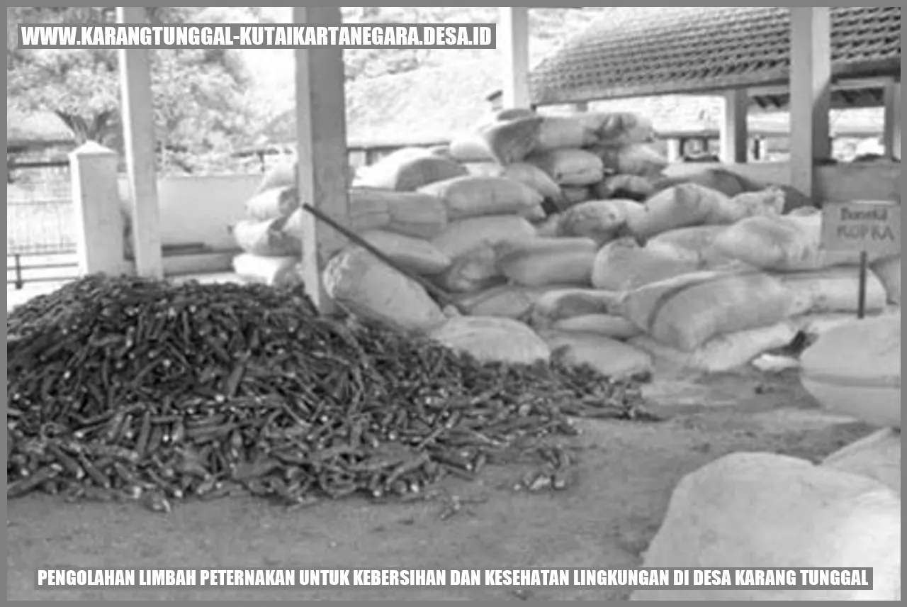 Pengolahan Limbah Peternakan untuk Kebersihan dan Kesehatan Lingkungan di Desa Karang Tunggal