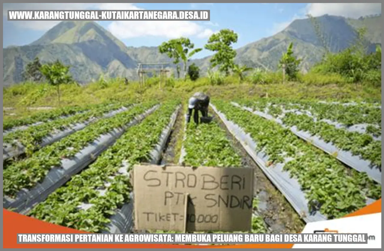 Transformasi Pertanian ke Agrowisata: Membuka Peluang Baru bagi Desa Karang Tunggal